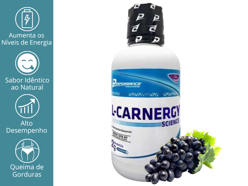 L-CARNERGY SCIENCE 474ML - PERFORMANCE NUTRITION