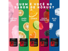 HORUS 300G - TITANIUM - www.outletsuplementos.com.br